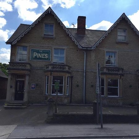 The Pines Guest Accommodation Chippenham  Bagian luar foto